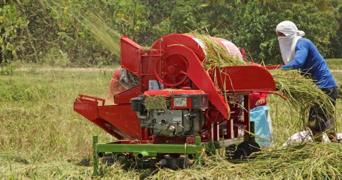 Mesin Perontok Padi (Power Thresher)