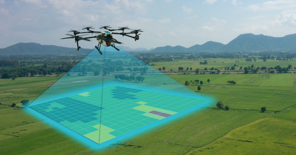 drone survey