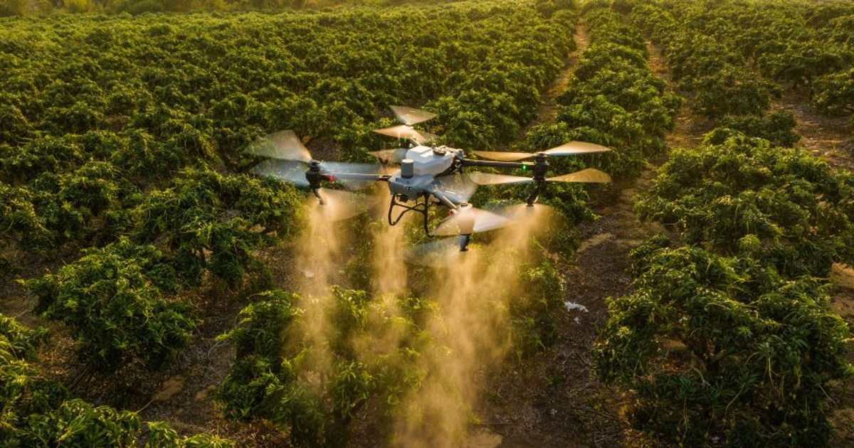 DJI Agriculture Yogyakarta