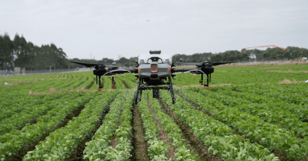 Perbedaan Drone Enterprise vs Agriculture