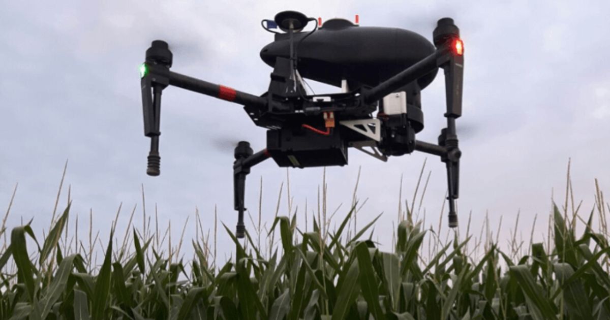 Cara Mengendalikan Hama dengan