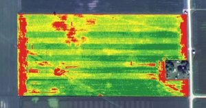Teknologi NDVI pada Drone