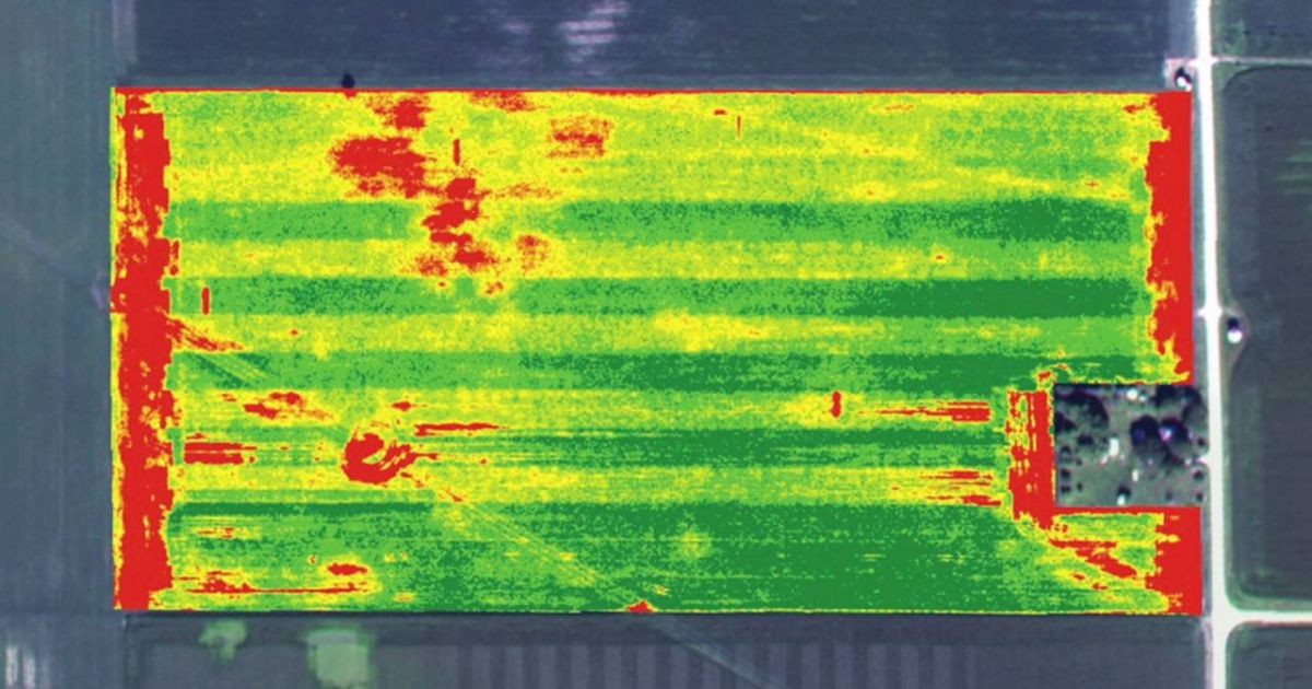 Teknologi NDVI pada Drone