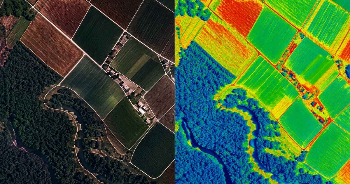 Multispectral vs Hyperspectral Imaging_11zon
