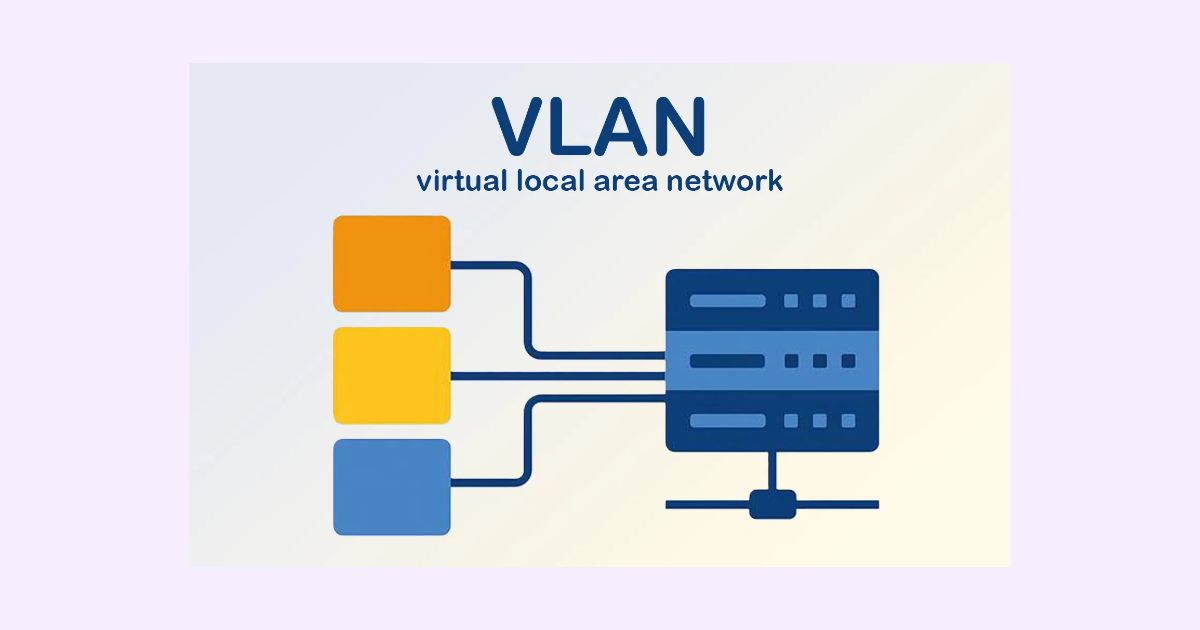 _ VLAN (1)